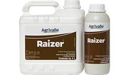 raizer