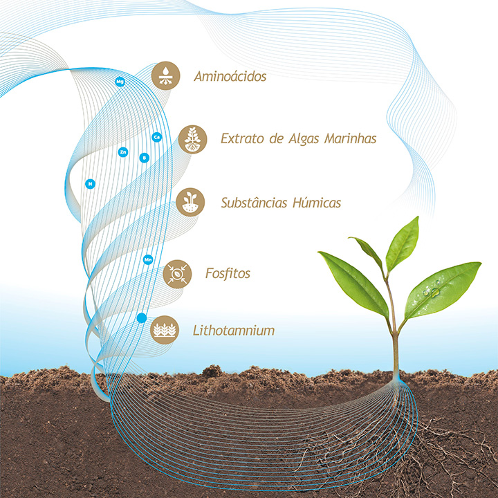 Qualidades da Nutrição Multifuncional