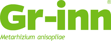 Logotipo Gr-inn